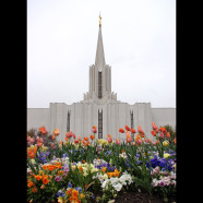 Jordan River, UT Temple